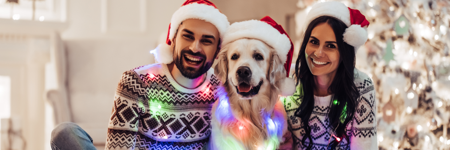 Pet Care Insurance in Massachusetts Charles River